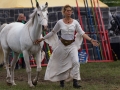 Seelenfänger Photographie | MPS Hohenwestedt 2016