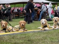 Seelenfänger Photographie | MPS Hohenwestedt 2017 