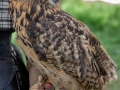 Seelenfänger Photographie | Großenasper Heerweg Markt 2018