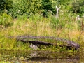 Seelenfänger Photographie | Steinzeitpark Dithmarschen