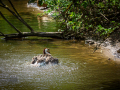 Seelenfänger Photographie | Tierpark Arche Warder