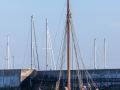 Seelenfänger Photographie |  Helgoland 2022