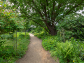 Seelenfänger Photographie | Arboretum Ellerhoop
