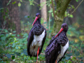 Seelenfänger Photographie | Wildpark Eekholt