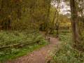 Seelenfänger Photographie | Wildpark Eekholt